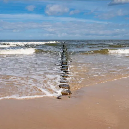 Linde 3 * Heringsdorf (Usedom)